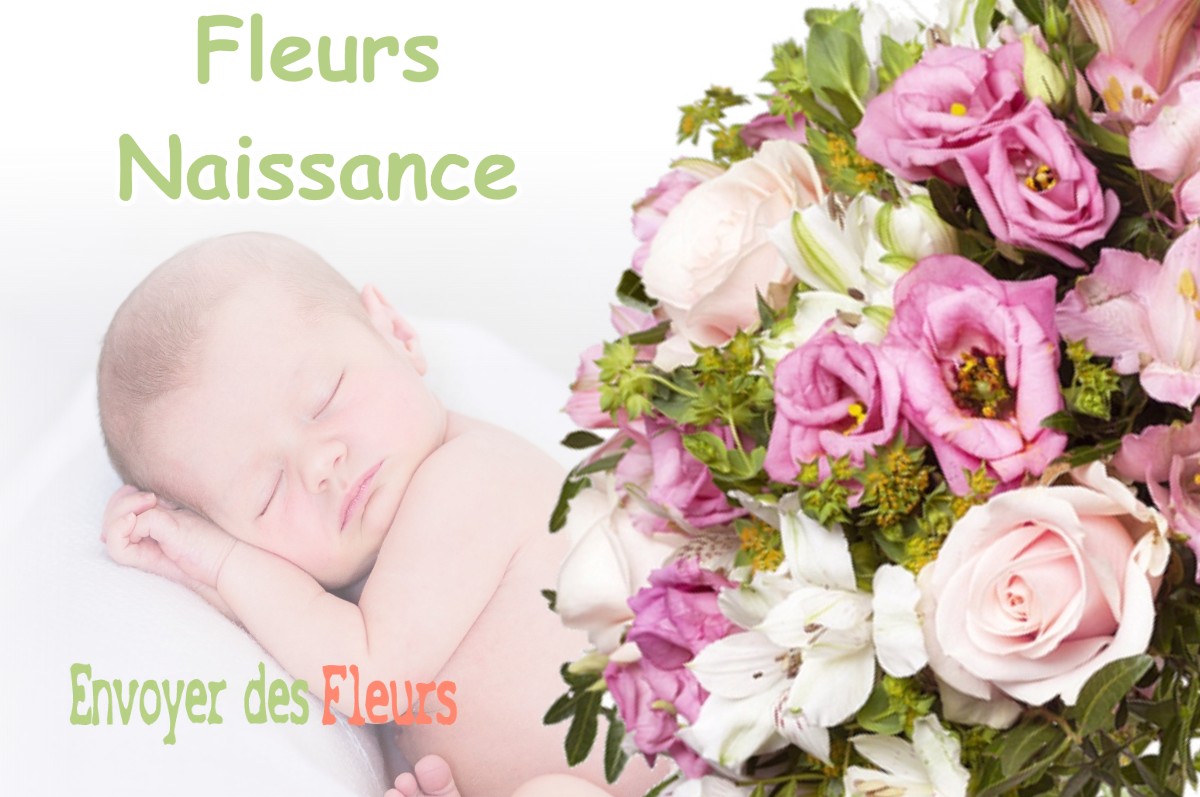 lIVRAISON FLEURS NAISSANCE à CHAPELLE-VOLAND